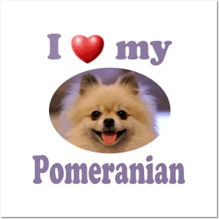 I Love My Pomeranian Posters and Art